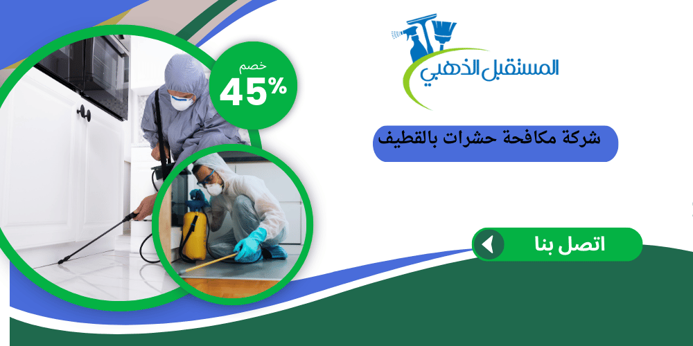 شركة مكافحة حشرات بالقطيف